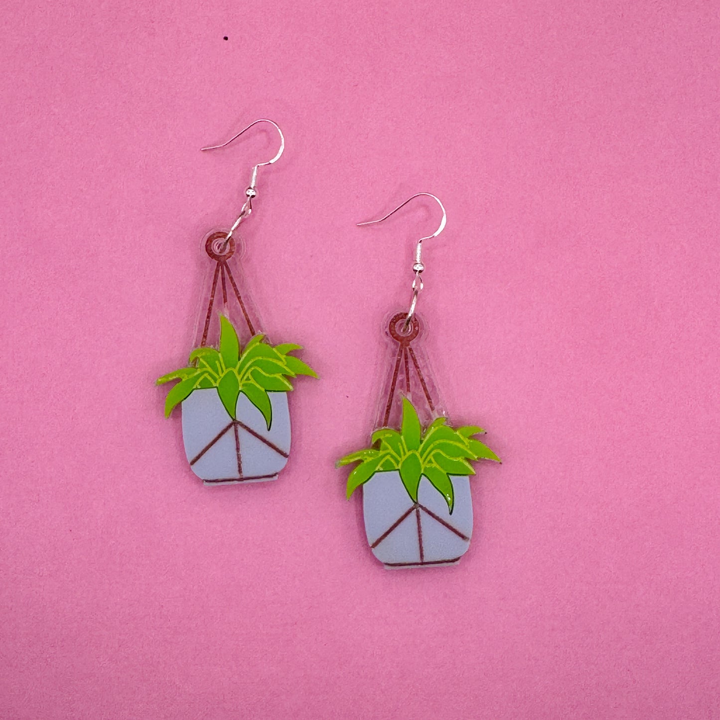 Hanging Plant