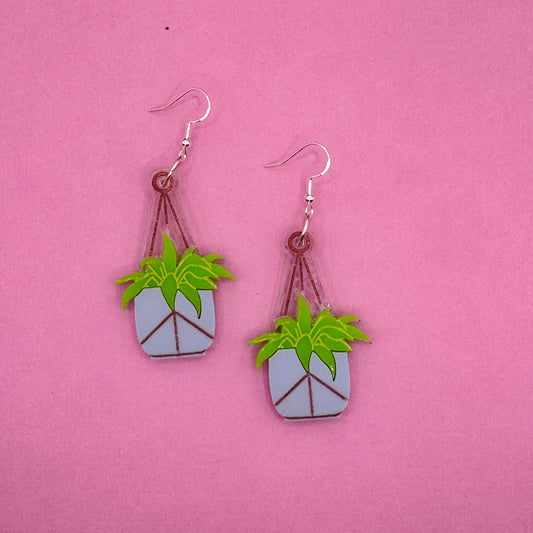 Hanging Plant